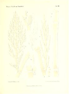 n130_w1150