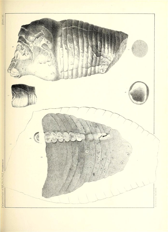 n572_w1150