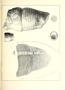 n572_w1150