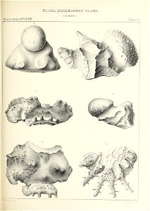 n448_w1150
