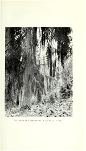 n56_w1150