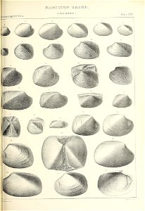 n526_w1150