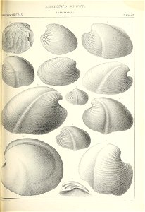 n466_w1150