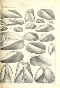 n406_w1150