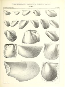n390_w1150
