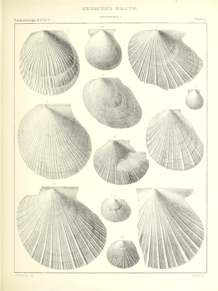 n330_w1150
