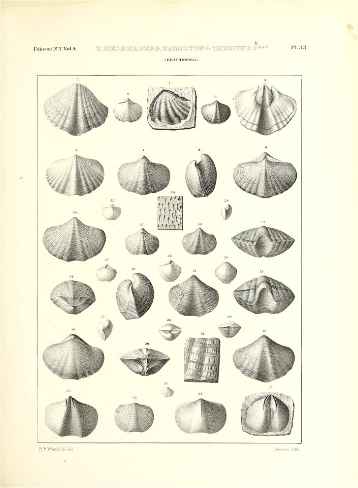 n580_w1150
