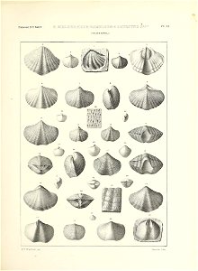 n580_w1150