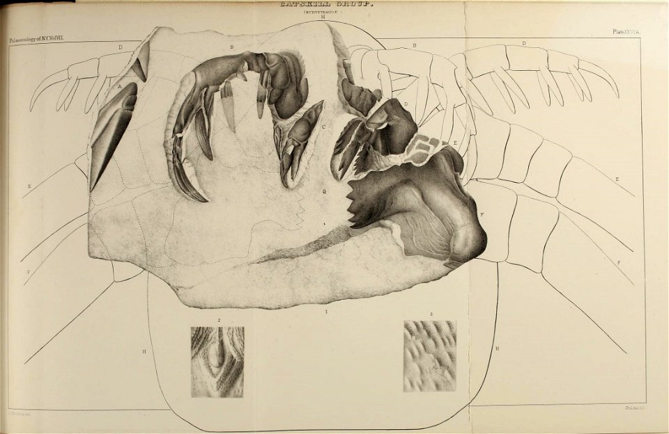 n498_w1150