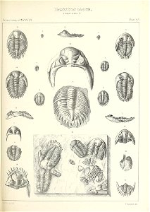 n436_w1150
