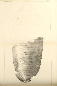 n373_w1150