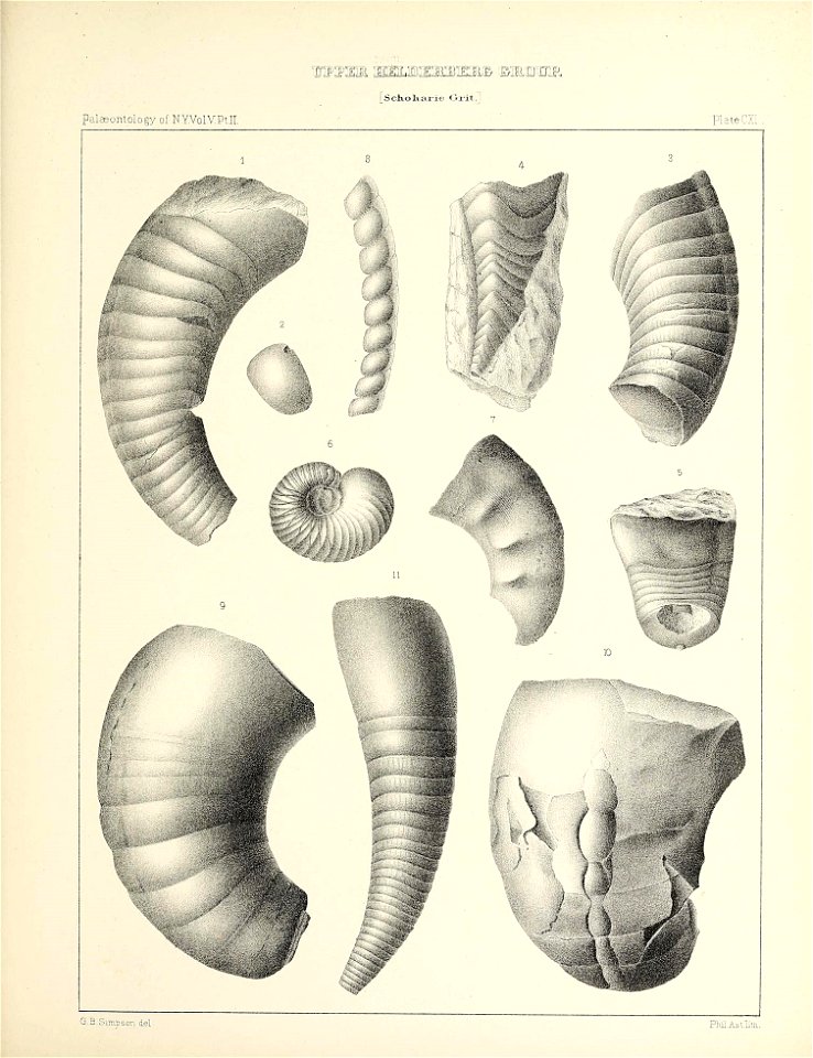 n512_w1150