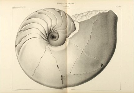 n324_w1150