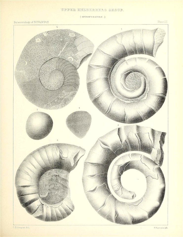 n254_w1150