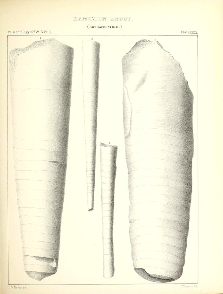 n194_w1150