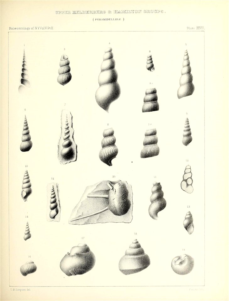 n122_w1150