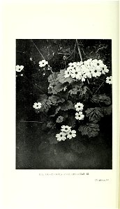 n309_w1150