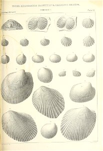 n514_w1150