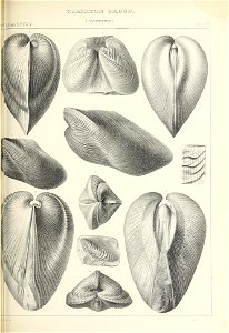 n454_w1150