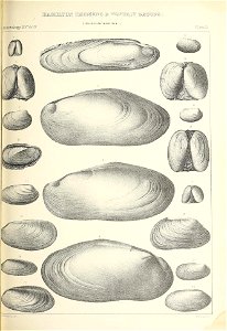 n394_w1150