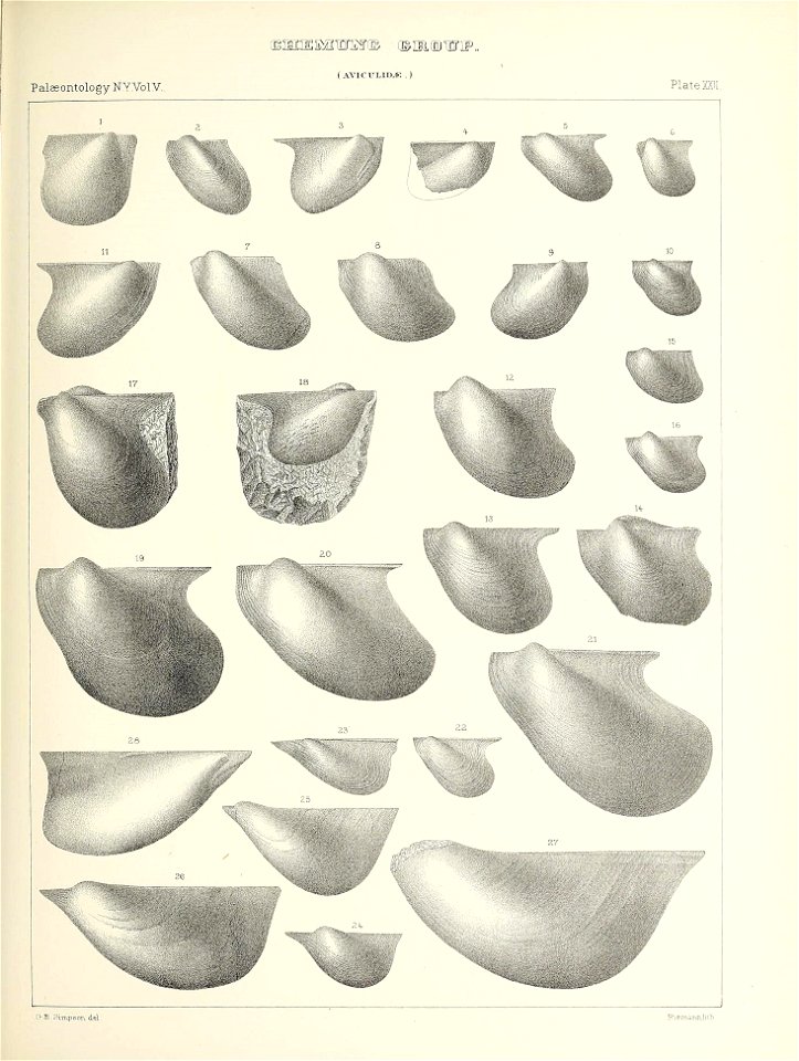 n378_w1150