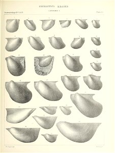 n378_w1150