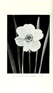 n901_w1150