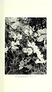 n308_w1150