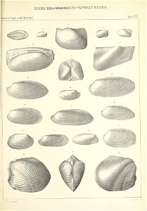 n574_w1150