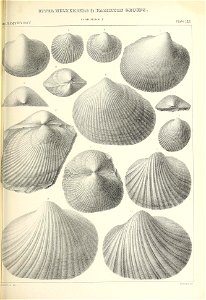 n510_w1150