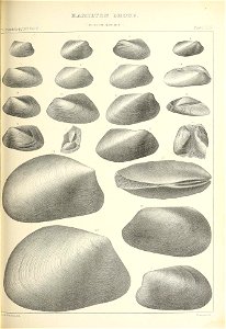 n390_w1150