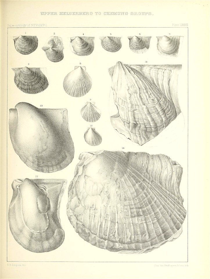 n434_w1150