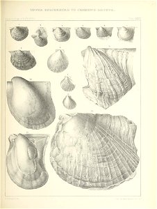 n434_w1150