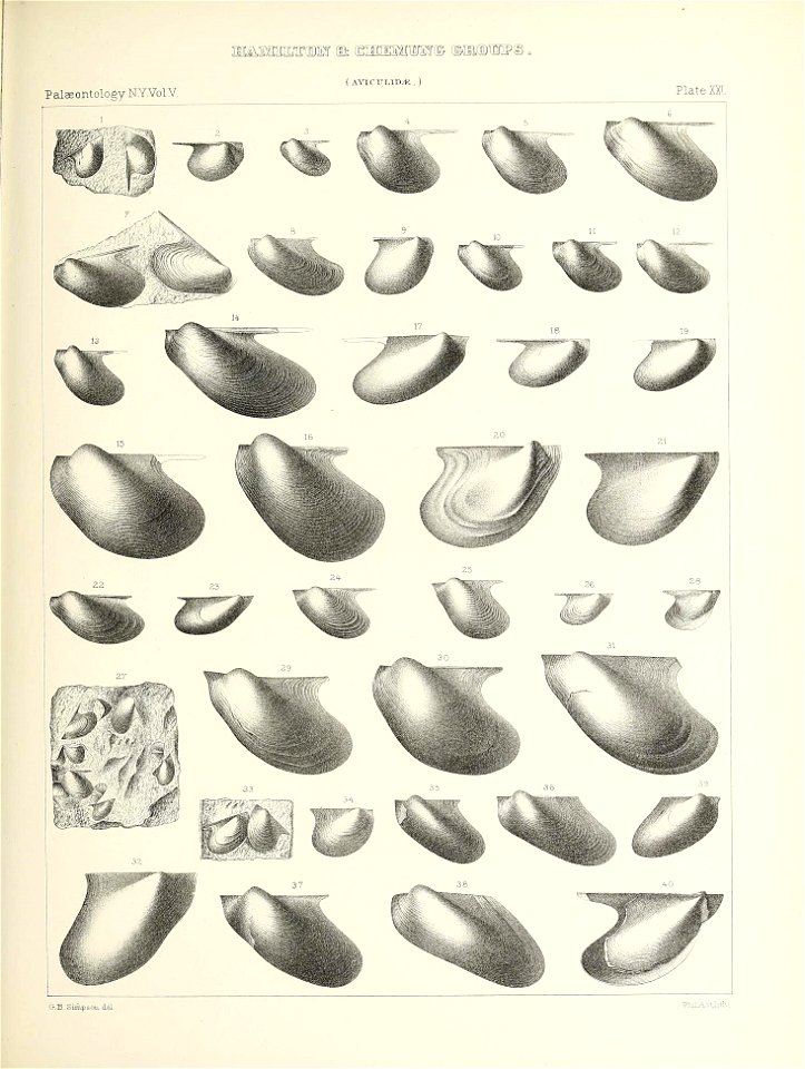 n374_w1150