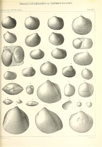 n570_w1150