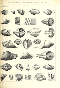 n506_w1150