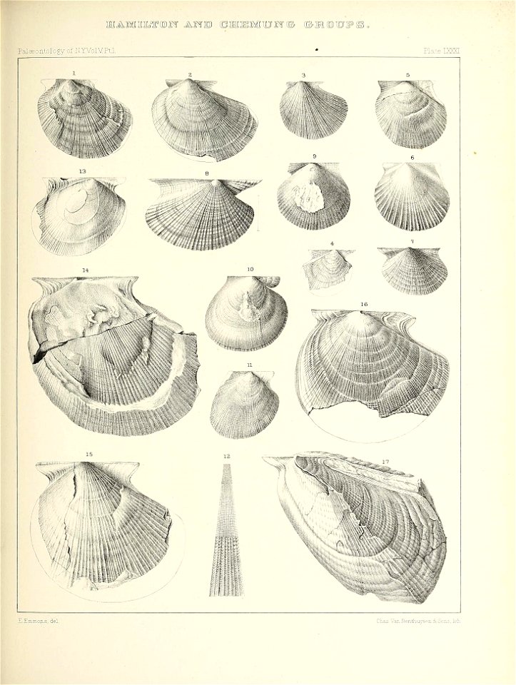 n426_w1150
