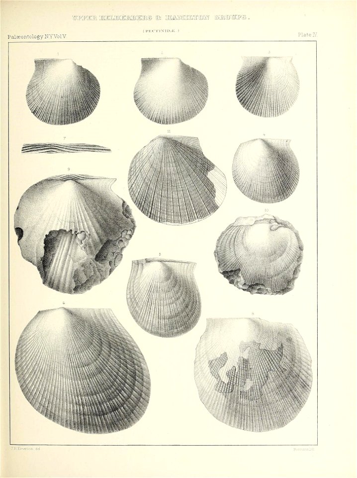 n306_w1150