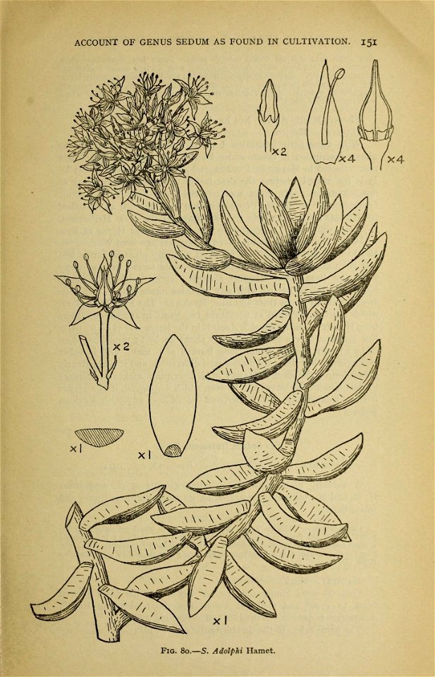 n158_w1150