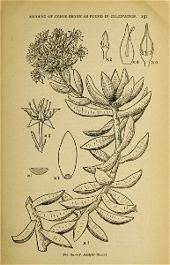 n158_w1150
