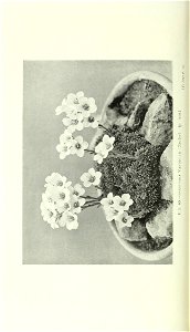 n803_w1150