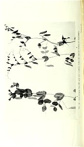 n411_w1150