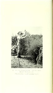 n181_w1150