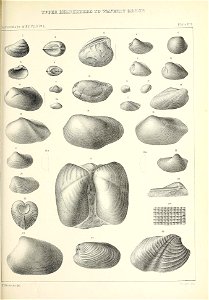 n558_w1150