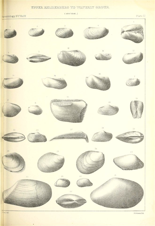 n438_w1150