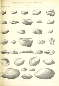 n438_w1150