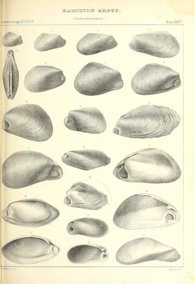 n378_w1150