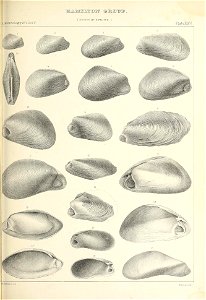 n378_w1150