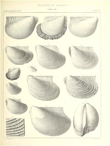 n362_w1150