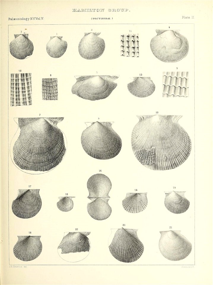 n302_w1150